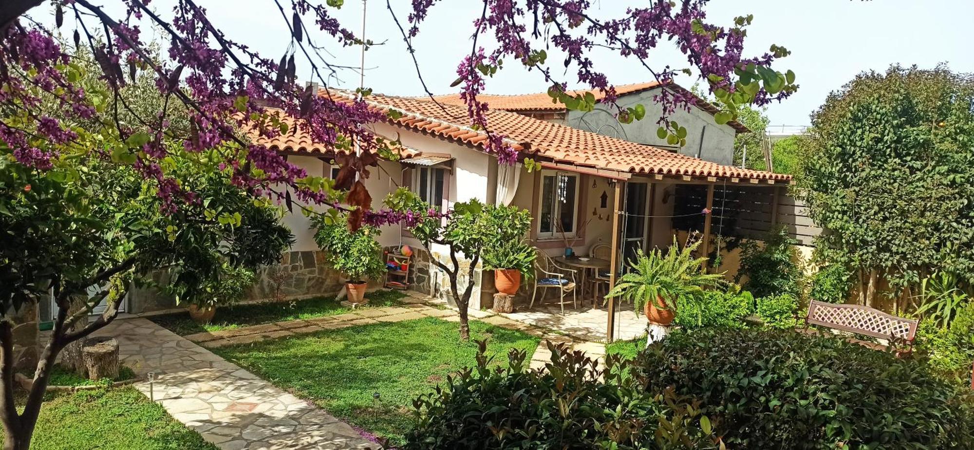 Mozart House Studio Amarynthos Extérieur photo