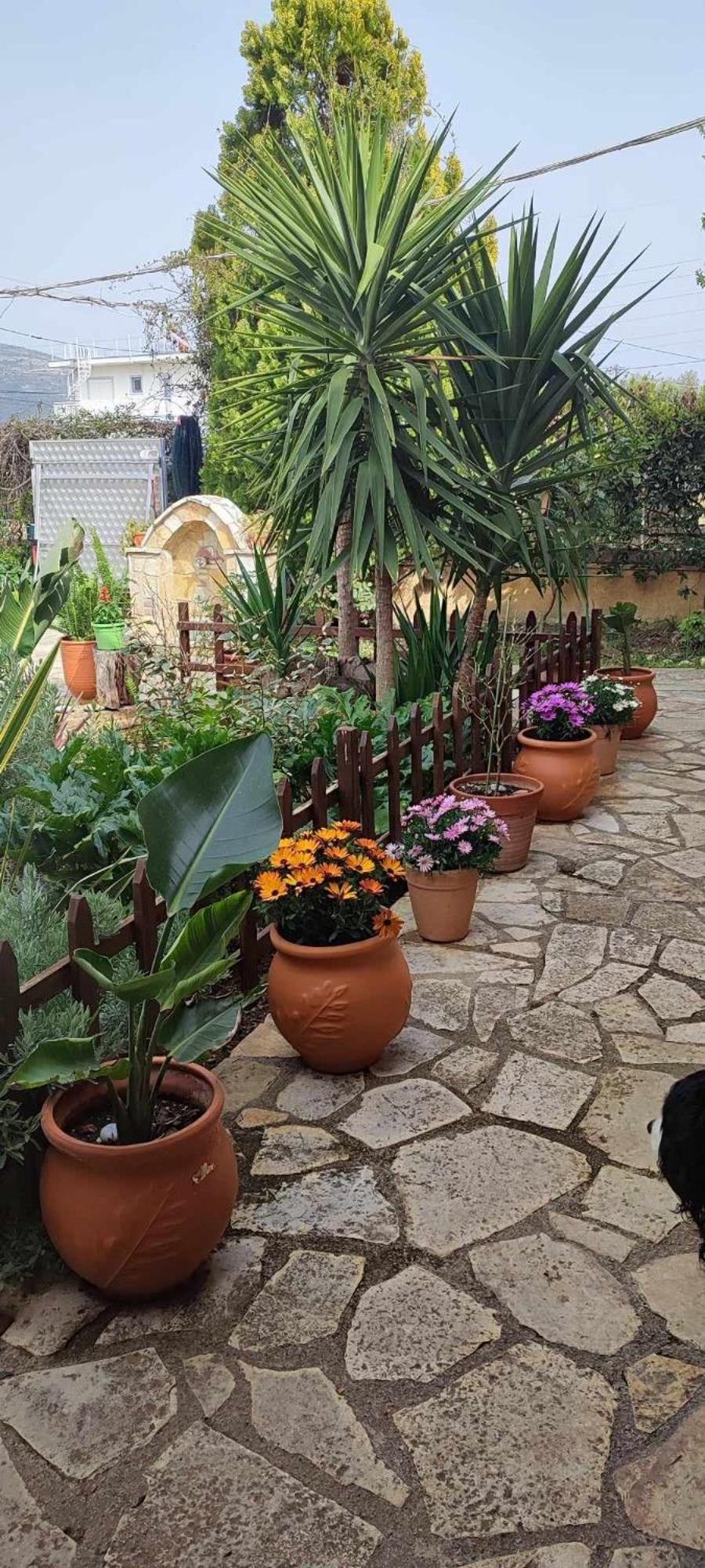 Mozart House Studio Amarynthos Extérieur photo